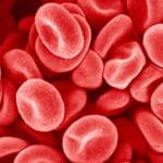 الهند.. اكتشاف فصيلة دم جديدة وغير معروفة عالمياً لدى امرأة