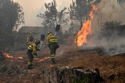 حرائق الغابات في أوروبا