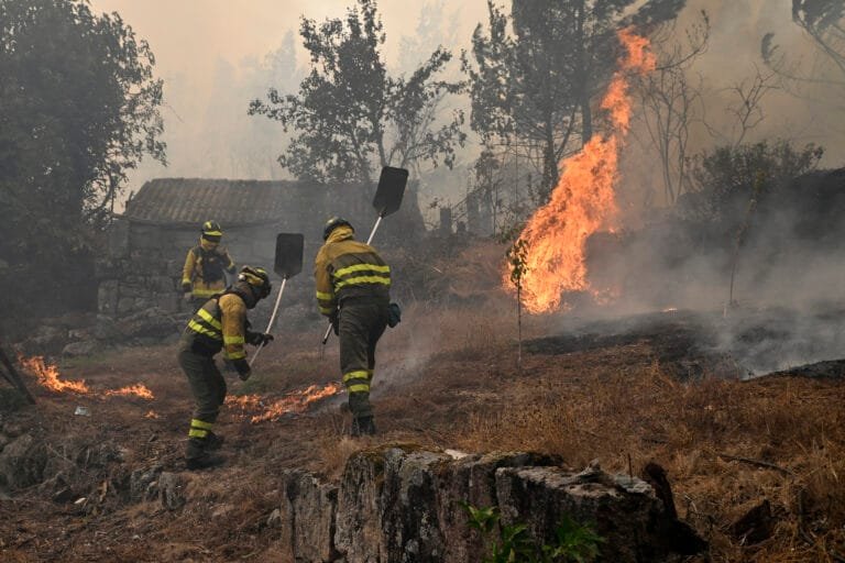 Forest fires in Europe