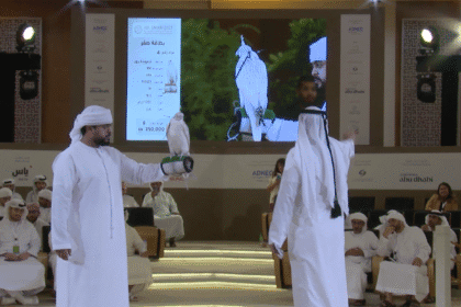 مزادات نخبة الصقور