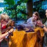 إلى جانب هذه الأيام المخصصة، يزخر برنامج المخيم بأنشطة ممتعة ومتنوّعة