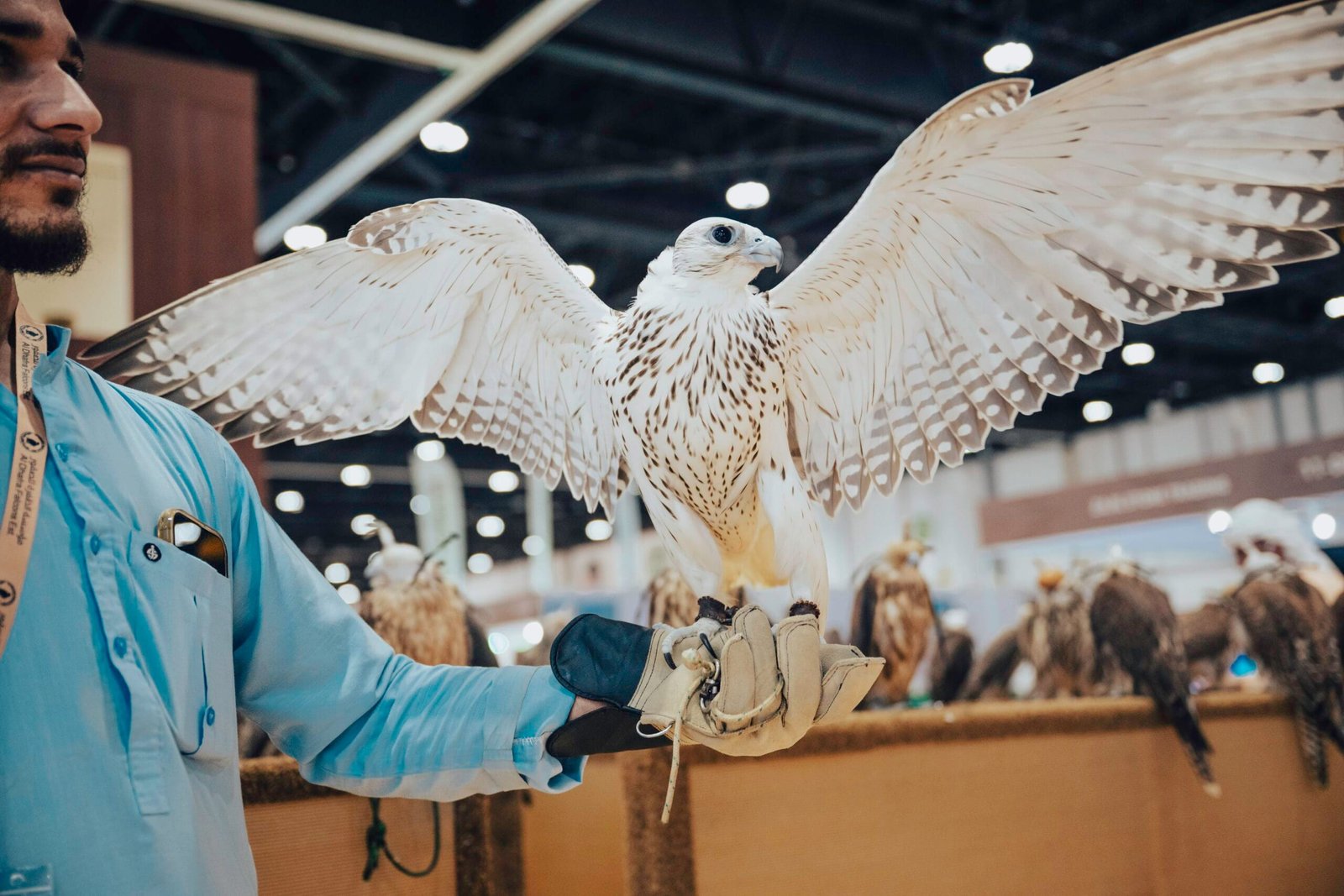 The Abu Dhabi International Hunting and Equestrian Exhibition 2025 kicks off amidst a large public turnout.