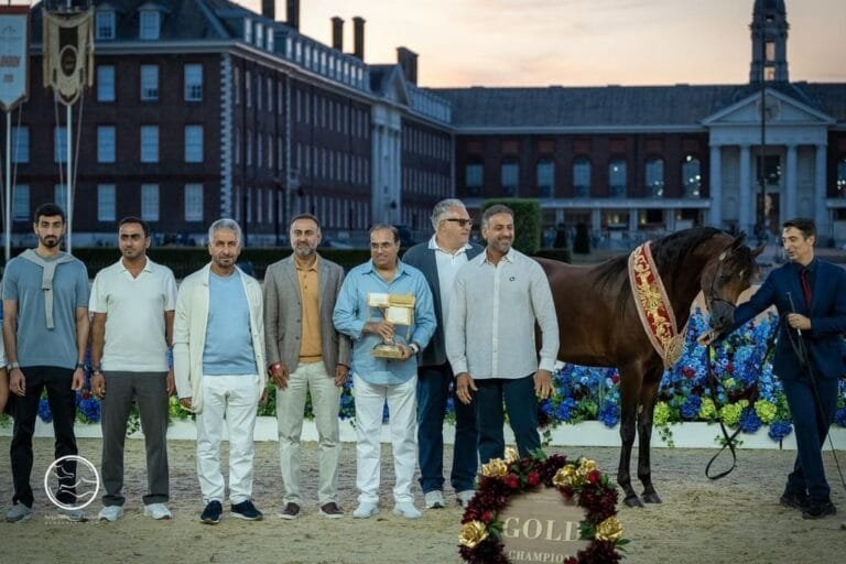4 medals for UAE horses on the Arabian Horse Tour in London