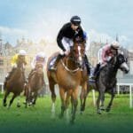 11 horses will compete for the title of President's Cup for Arabian Horses in the Netherlands tomorrow