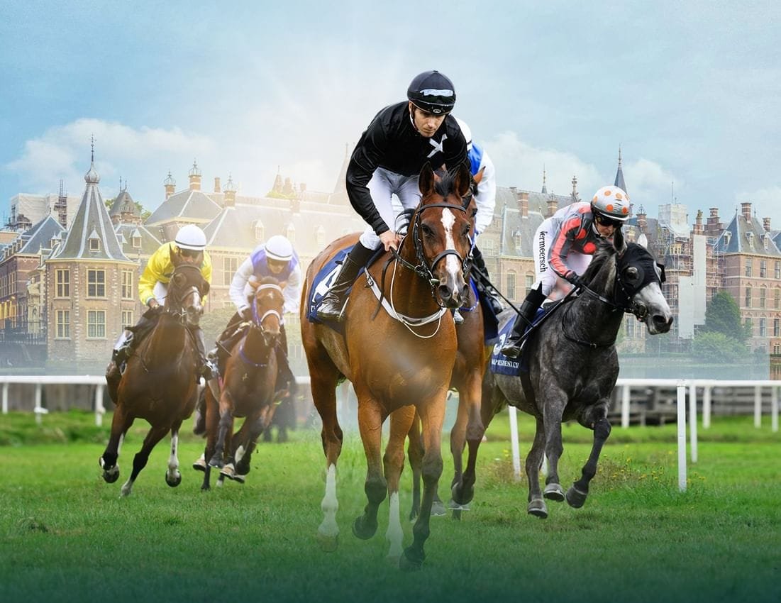 11 horses will compete for the title of President's Cup for Arabian Horses in the Netherlands tomorrow