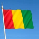 المحكمة العليا في غينيا تصادق على نتائج الاستفتاء الدستوري