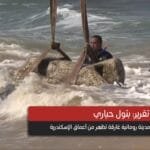 Video Report: "Egypt's Atlantis" Reveals Its Secrets: A Sunken Roman City Emerges from the Depths of Alexandria!