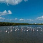 To enhance tourism cooperation and partnership relations.. The Ajman Tourism Development Department organizes a promotional visit to several cities in France