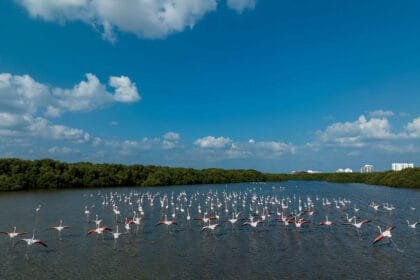 لتعزيز علاقات التعاون والشراكة السياحية.. دائرة التنمية السياحية بعجمان تنظم زيارة ترويجية إلى عدة مدن في فرنسا