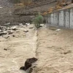 توقعات باستمرارها.. أمطار على مناطق متفرقة في الإمارات