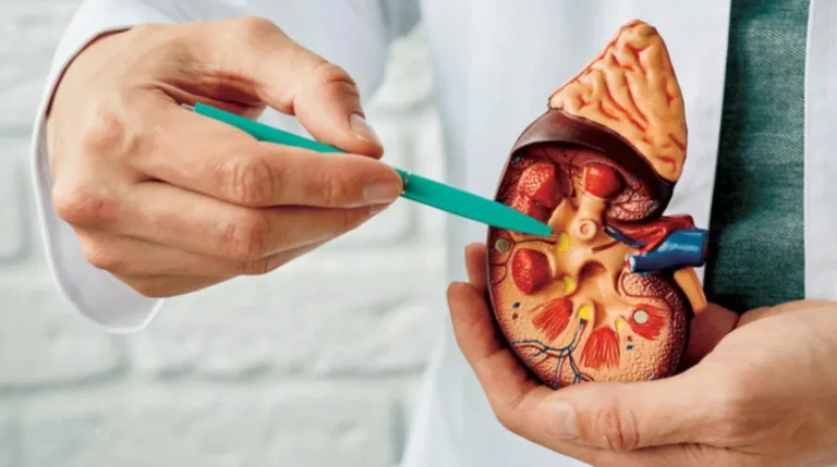 وداعاً لـ "حصوات الكلى".. علاج واعد قد ينهي هذا العذاب