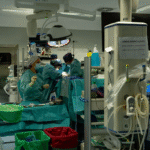 العملية الأولى في العالم.. زراعة كبد خنزير في جسم إنسان