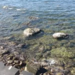 ما حقيقة الشاطئ الرملي والـ "تسونامي" في الإسكندرية؟