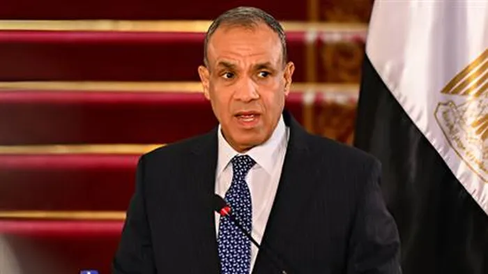 وزير الخارجية المصرى