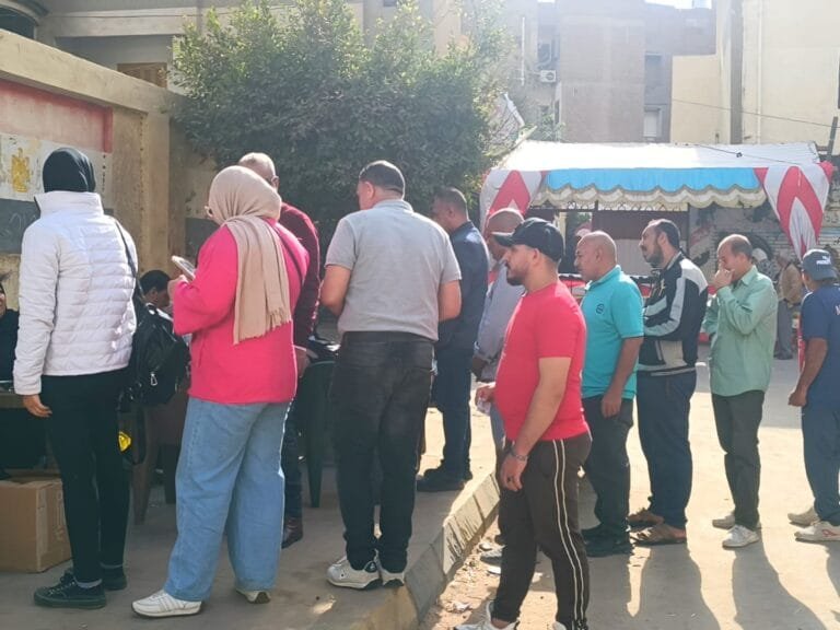 الانتخابات المصرية