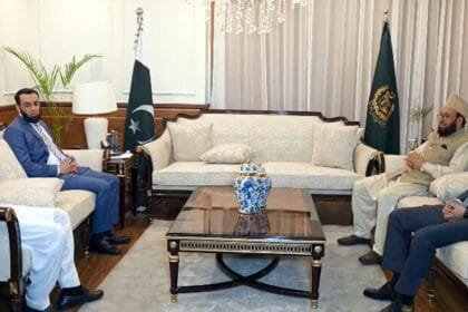 Pakistani government