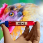 US health officials announce first death from H5N5 bird flu