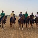 The Equestrian Federation announces details of the participation of the "peg picking" team in the 2026 World Cup qualifiers