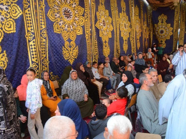 Regularity of Egyptian elections