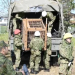 بعد تزايد هجمات الدببة.. اليابان تستعين بالجيش لحماية السكان