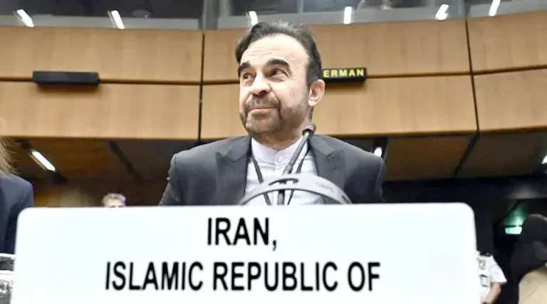 رضا نجفي، مندوب إيران لدى الوكالة الدولية للطاقة الذرية في فيينا2