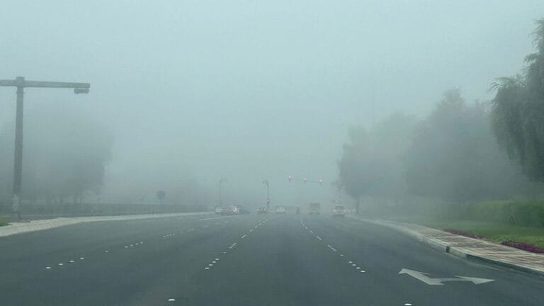 It causes horizontal visibility to fall below 100 metres.. Thick fog hinders vehicle movement in the Emirates