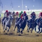 With the participation of 66 horses.. Maidan to host second evening of Dubai Carnival