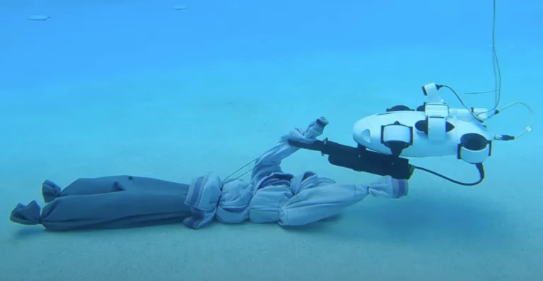 ثورة هندسية مذهلة .. أصداف جراد البحر تتحول إلى أطراف روبوتية تسبح وترفع الأحمال بذكاء غير مسبوق