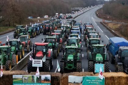 غضب فرنسي على ذبح الأبقار المريضة.. مزارعون يحتشدون بالجرارات ويغلقون الطرق