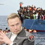 إيلون ماسك يتهم «اليسار الراديكالي» بتوظيف الهجرة للتأثير على الانتخابات في الولايات المتحدة