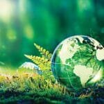 With qualitative projects that enhance its economic competitiveness. The UAE establishes its leadership in the world of sustainability