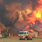 جحيم يزحف على المدن.. حرائق الغابات تُجبر مئات الأستراليين على النزوح جنوبًا وشرقًا