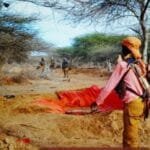 On the outskirts of the capital, Al-Shabaab publishes photos of attacks targeting the vicinity of Mogadishu.