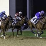 الأمسية الـ"10" لكرنفال سباقات دبي.. 111 خيلاً تتنافس على مضمار "ميدان"