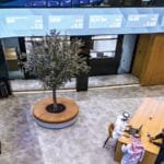 خلال عام.. 169.4 مليار درهم ضخها الأجانب والمؤسسات في أسهم «سوق دبي المالي»