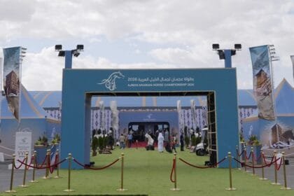 الجمعة.. انطلاق بطولة عجمان لجمال الخيل العربية بمشاركة واسعة وتجهيزات عالمية