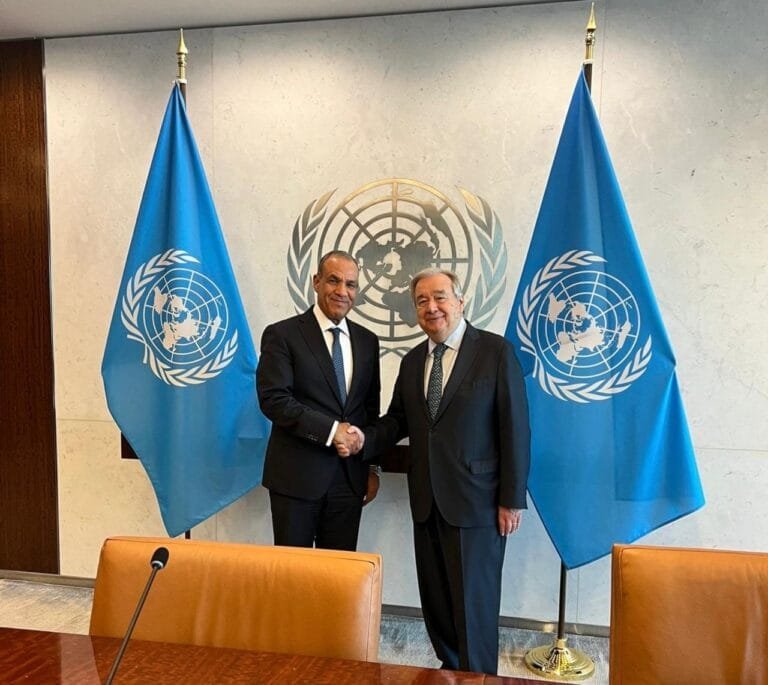 وزير الخارجية المصري يبحث مع غوتيريش تطورات غزة والسودان