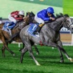 Dubai Racing Carnival.. 109 horses compete in the 11th evening