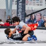 The UAE National Mixed Martial Arts Championship begins on Thursday
